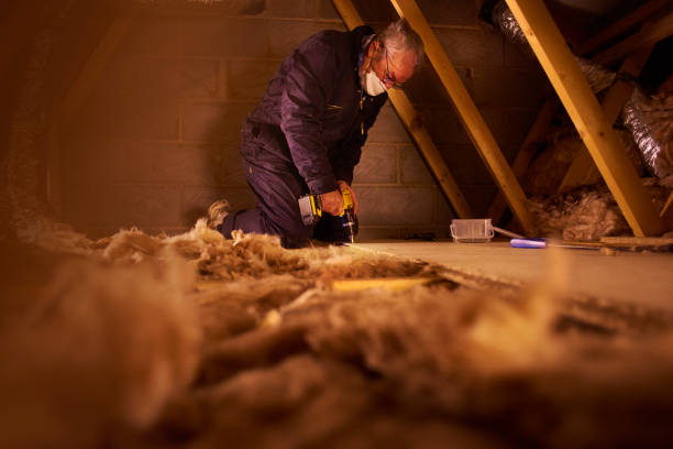 Best Insulation Replacement Services  in Dunn Loring, VA